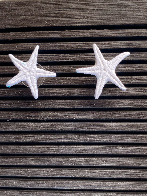 Starfish - Sea Star Earrings - Handmade in Polymer Clay